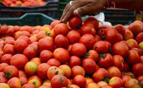 Government Reduces Subsidized Tomato Price to ₹80/kg in Delhi-NCR and Other Locations